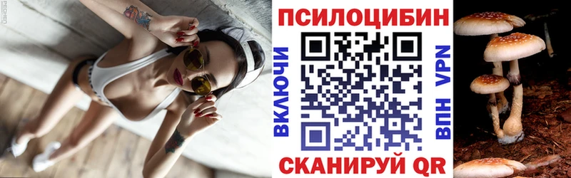 Галлюциногенные грибы MAGIC MUSHROOMS  Тында 