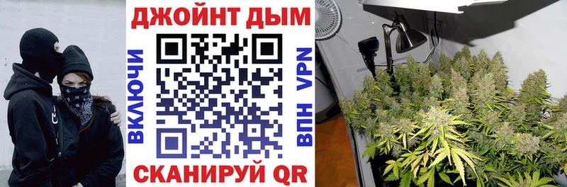 дарнет шоп  Тында  мориарти формула  Бошки Шишки конопля 
